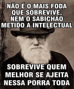 10685438_600357823408630_5706631643953863305_n